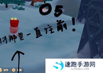 《摩尔庄园手游》满天星花采集位置