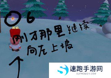 《摩尔庄园手游》满天星花采集位置