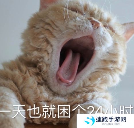 网络用语英年早困是什么梗