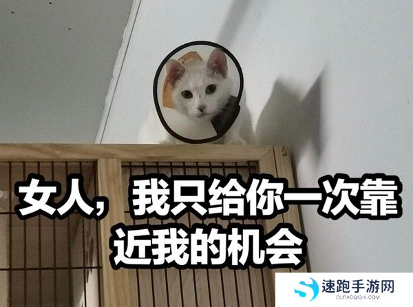 丫头文学系列表情包大全