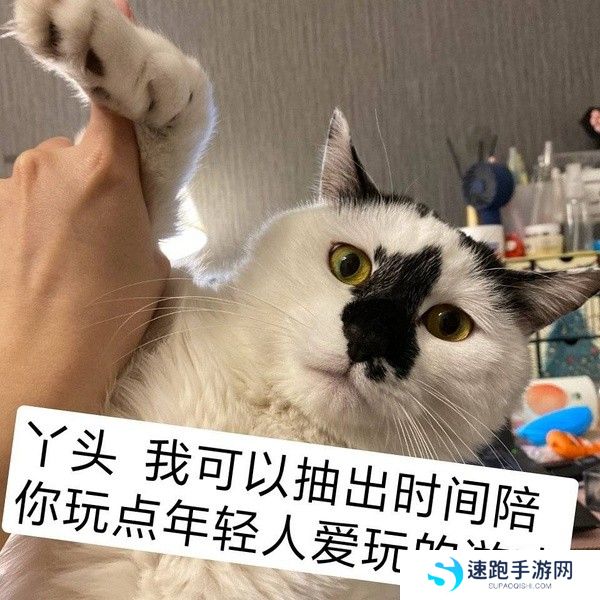 丫头文学系列表情包大全