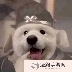 《抖音》超火的天线宝宝版西游记表情包大全分享