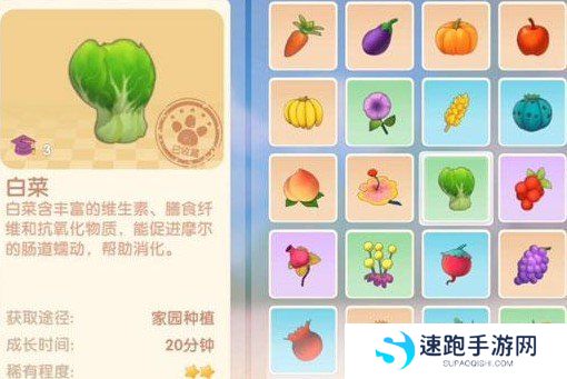 《摩尔庄园手游》白菜获取途径