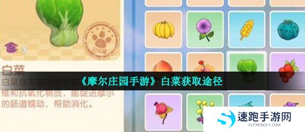 《摩尔庄园手游》白菜获取途径