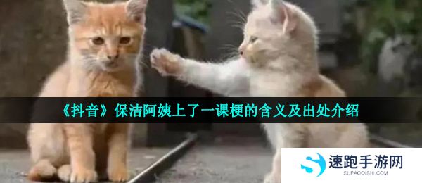 《抖音》保洁阿姨上了一课梗的含义及出处介绍