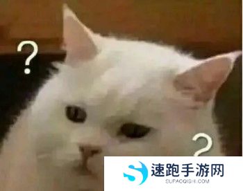 《抖音》保洁阿姨上了一课梗的含义及出处介绍
