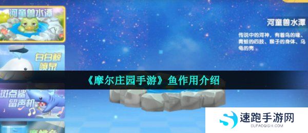 《摩尔庄园手游》鱼作用介绍